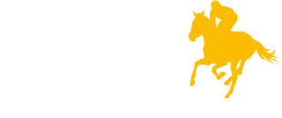 Racing Tauranga logo